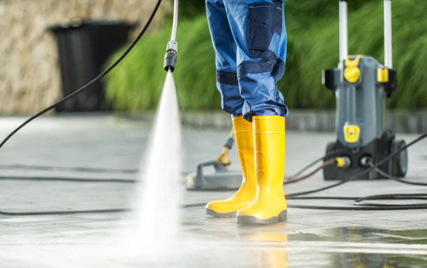 Best Deck Cleaning Services  in Armona, CA